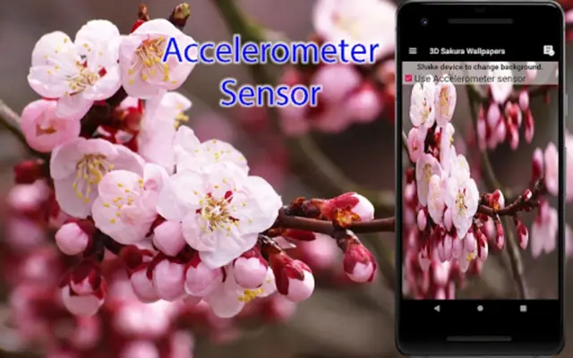 Sakura Live Wallpaper android App screenshot 3